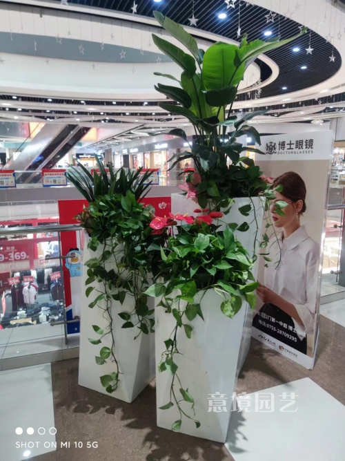 案例展示