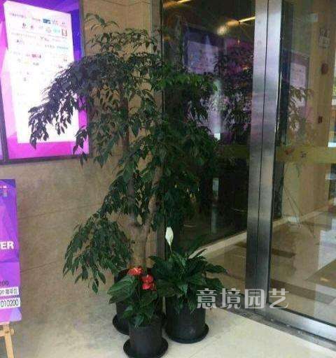 租赁案例
