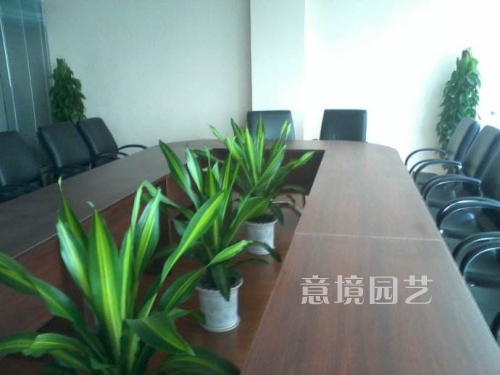 租赁案例
