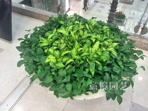 租赁案例