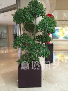 案例展示