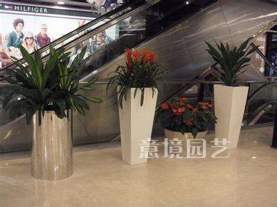 案例展示