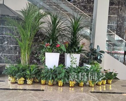 案例展示