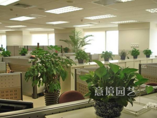 案例展示